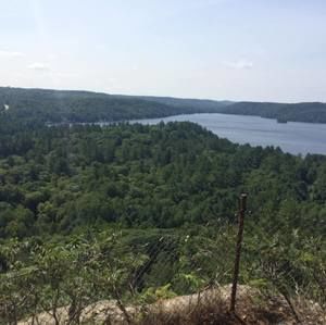 Meet your Posher, Ben